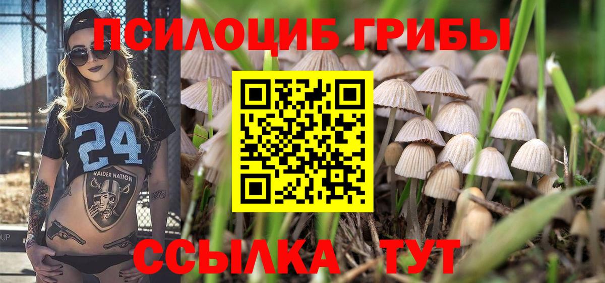 Электросталь  Псилоцибиновые грибы Magic Shrooms  Вход с VPN 
