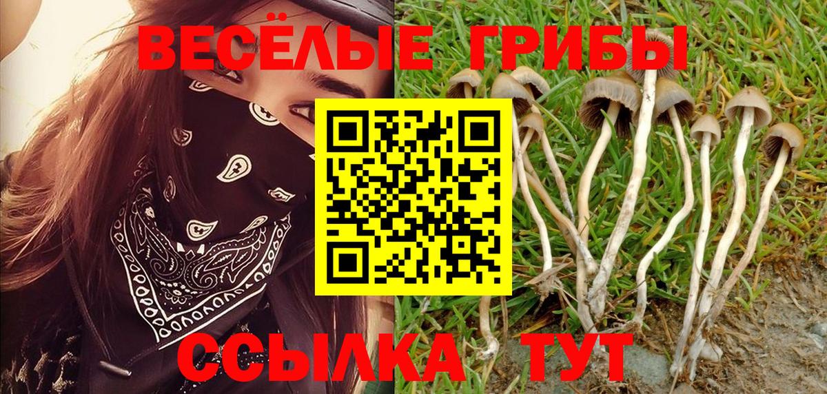 Псилоцибиновые грибы прущие грибы Электросталь